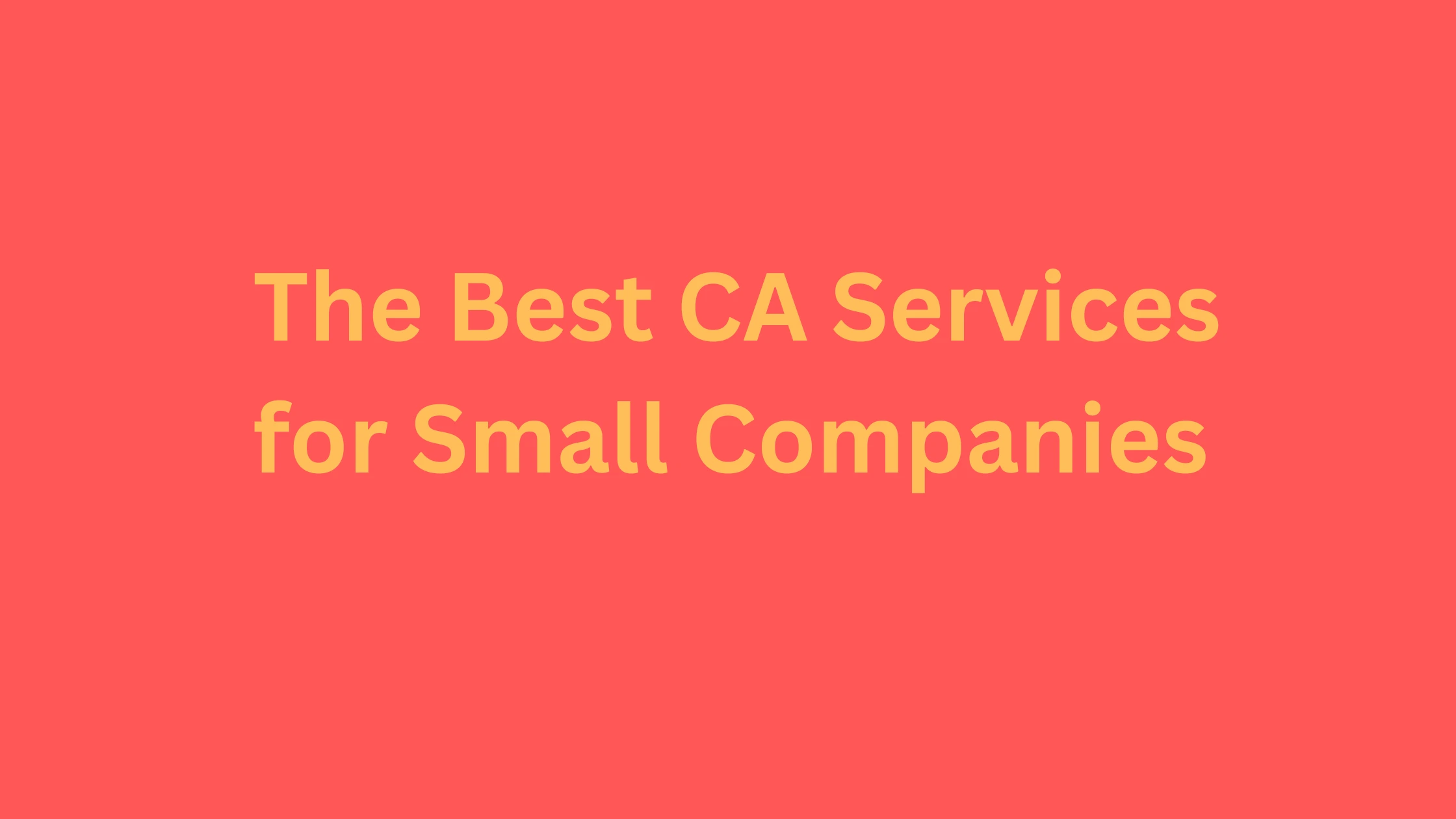The Best CA Services for Small Companies