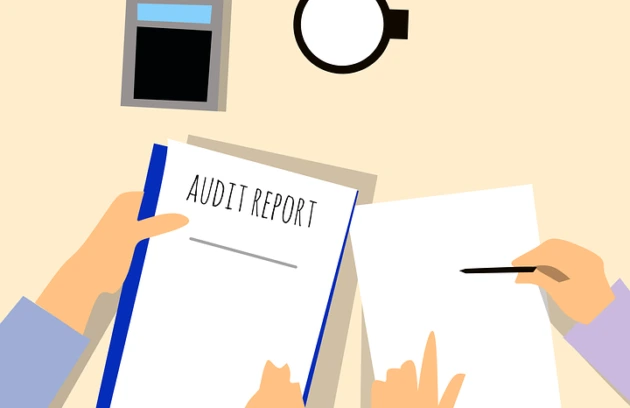 The Value of Chartered Accountants in Financial Planning for Businesses